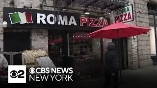 NYC pizza shop worker critically injured after allegedly being attacked by customer, pit bull