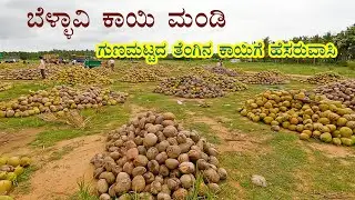 Bellavi coconut market - Famous for quality coconuts