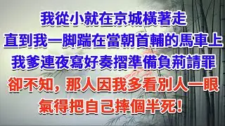 我從小就在京城橫著走，直到我一脚踹在當朝首輔的馬車上，我爹連夜寫好奏摺準備負荊請罪，卻不知，那人因我多看別人一眼，氣得把自己摔個半死！#一口气看完 #完结爽文#宫墙往事#古言#大女主#甜宠#宫斗