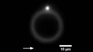 Microroller gets trapped