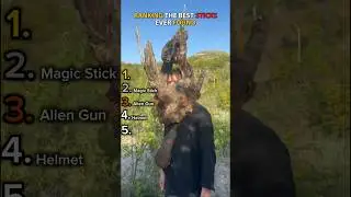 Ranking The Best Sticks Ever Found.