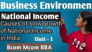 Causes of slow growth of national income| Business Environment National Income unit 1 Bcom Mcom Bba
