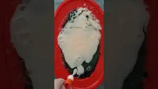 black caviar and mayo mix