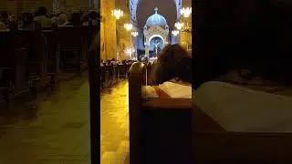 Bendito seas Señor | Órgano Walcker Catedral de Medellin 2022