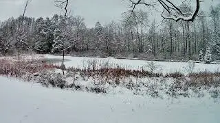 Relaxing Snow/Winter Scenery #17  - Dallas,PA #relaxing #nature #outdoors #viral #wildlife #snow