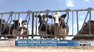 More West Texas dairies shutting down
