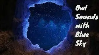 Owl Sounds at Night, Naturel Bird Sounds From the Cave, Blue Sky at Night