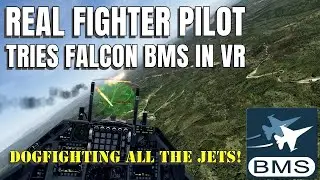 Dogfighting All The Jets (ACE AI) in Falcon BMS!