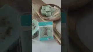 🎥🏖️ Bahama Beach Artisan Wax Melts 🏖️🎥
