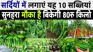 December mah mein ugai jaane wali sabjiyan🌱सर्दियों में कौनसी सब्जी लगाएं | december Me Sabji kheti