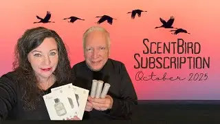 Подписка на ScentBird октябрь 2025 г. #scentbird
