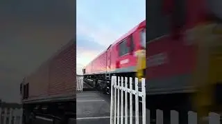 SHINY NEW 66659