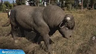 Far Cry 5 - Where's the Beef? Trophy / Achievement Guide