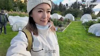 新西蘭潮什麼｜坐百年蒸汽船遊湖！瓦爾特峰農場即摘即食＋種樹活動回饋大自然｜梁芷珮｜旅遊｜新西蘭｜TVBUSA