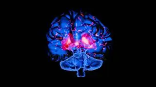 A detailed illustration of neuron communication inside the brain with energy pulses