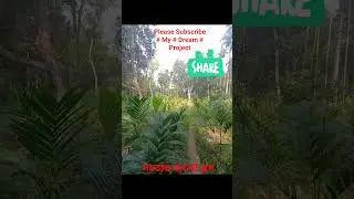# My # Dream # Project # Garden Good # Afternoon সত্যের বাংলা ব্লগ