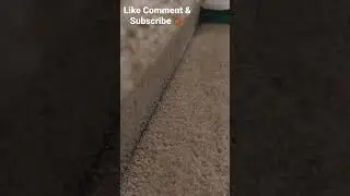 ASMR TERRIBLE DIRTY CARPET CLEANING SWEEPING SCRUBBING WITH FOAM