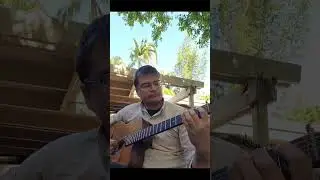 Angelo Debarre - La Manouche by Florent Devos