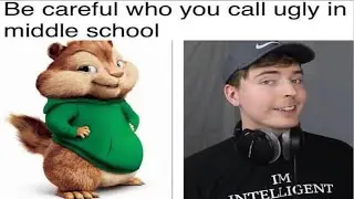 Mr Beast Memes Compilation