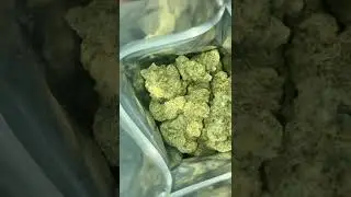 Created my own brand of Cannabis , now that&rsquo;s major .. real UPHORIAA