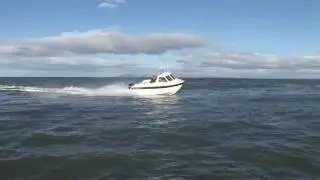 Warrior 175 Export