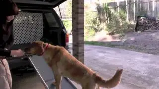 Training Your Dog To Use a Solvit Ramp