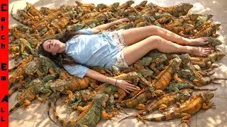 The Cold Weather is FREEZING 1,000s of IGUANAS out of Trees FALLING on EVERYTHING!