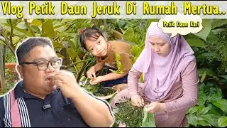VLOG PETIK DAUN JERUK & DAUN KARI DI RUMAH MERTUA..