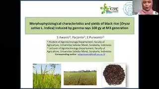 ICSAE7 ID #114 MORPHOPHYSIOLOGICAL CHARACTERISTICS AND YIELD OF BLACK RICE (Oryza sativa L. Indica..