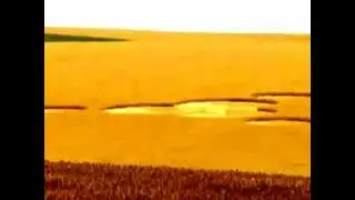 Mysterious Crop Circles Appear In Washington Wheat Field July 2012