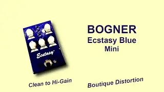 Bogner Ecstasy Blue Mini , Boutique Distortion