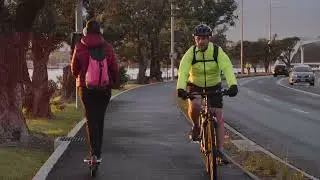 Tamaki Drive Improvements