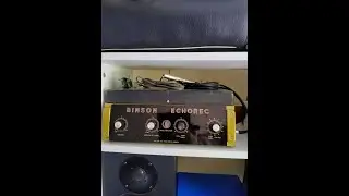 Binson B1S vs. Binson Echorec 