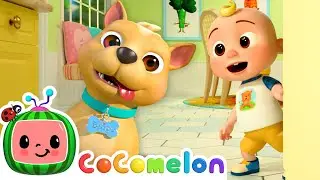 Bingo Hide and Seek Game! | Animal Birthday Party | CoComelon Nursery Rhymes & Kids Songs