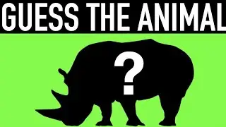 Kids Learning Animals Matching |