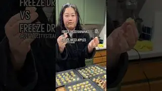 Freeze Dried Bananas vs Apples | Honest Taste Test #littlecitysteader