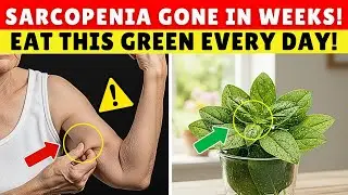 Over 60? THIS One Food Defeats Sarcopenia Fast | Senior Health Tips