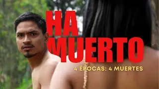 Cortometraje 