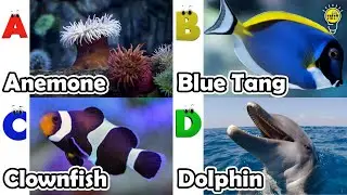 ABC phonics animals | ABC Sea Animals song | English and Animals for Kids | Alphabets Kids Song
