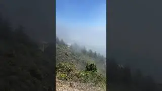 big sur #nature #amnewbutnottheleast #theothersideofmakebelieve #shorts