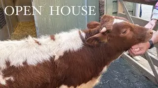 Open House in Manchaca