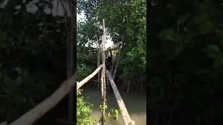 mancing mania semarangan