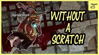 High Judge Orivand Fight (Ninja Combat Tactics) Divinity Original Sin 2