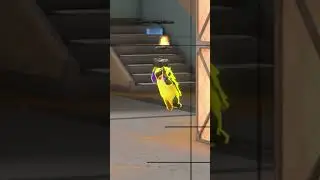 Wingman is so cute | Valorant
