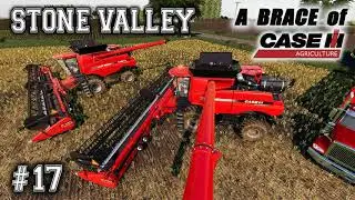 STONE VALLEY #17 / A BRACE of CASE / Farming Simulator 19 PS4 Let's Play FS19.