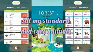 All my standard and rare animals in the «Forest island» 🏝️