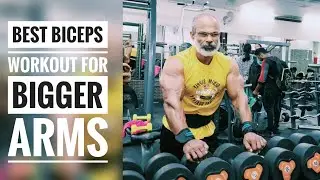 Best  Biceps Workout for Bigger Arms