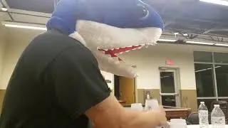 I'm a shark | Speed Stacking Maniac