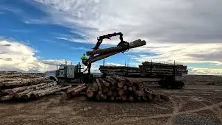 Unloading a load of Logs