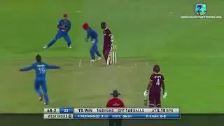 Best of king rashid arman